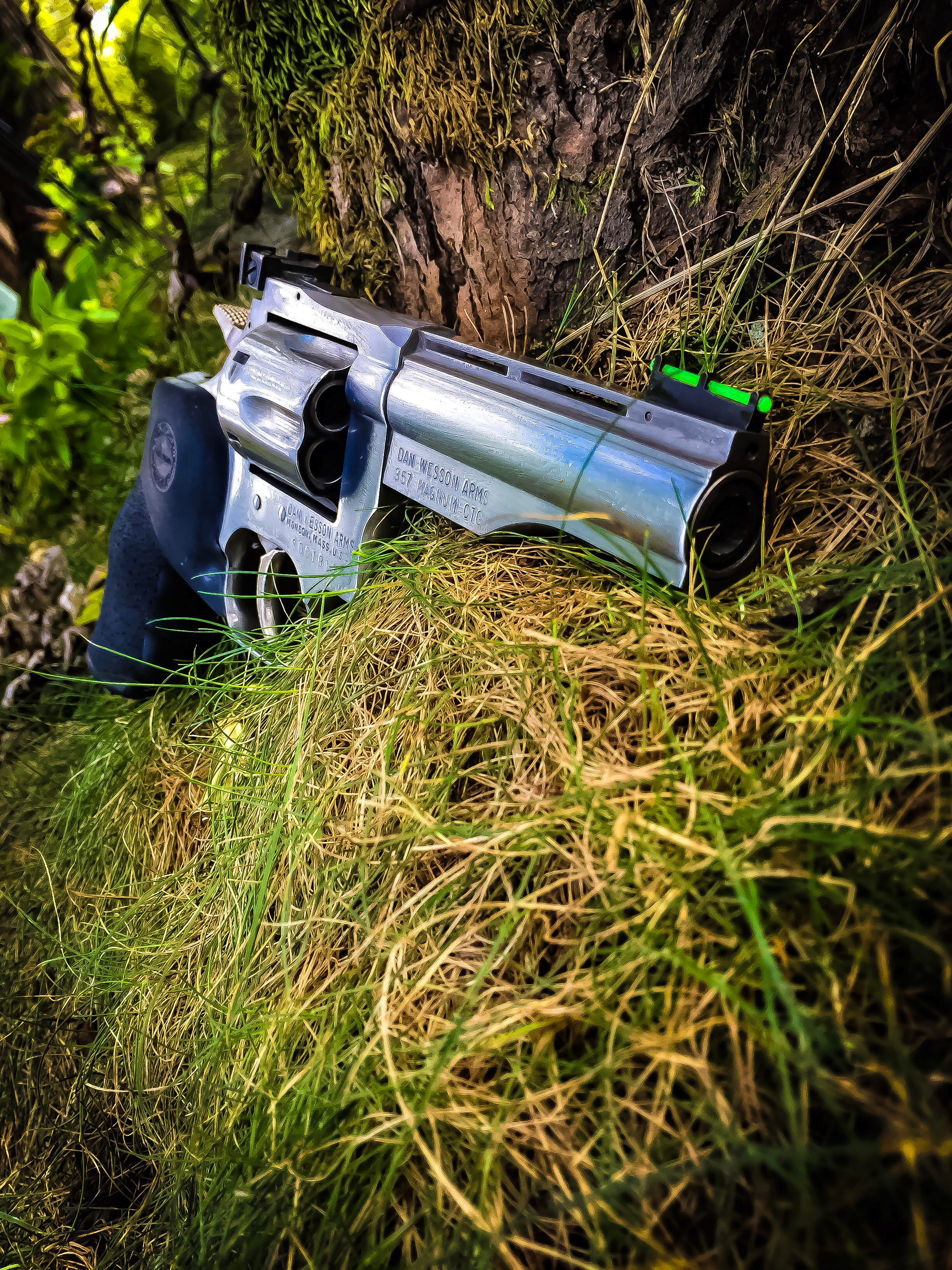 357Wesson1.jpg 357Wesson1.jpg