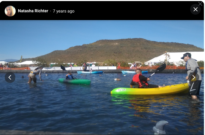 Screenshot-2025-01-20-5.12.24-PM.png Screenshot-2025-01-20-5.12.24-PM.png