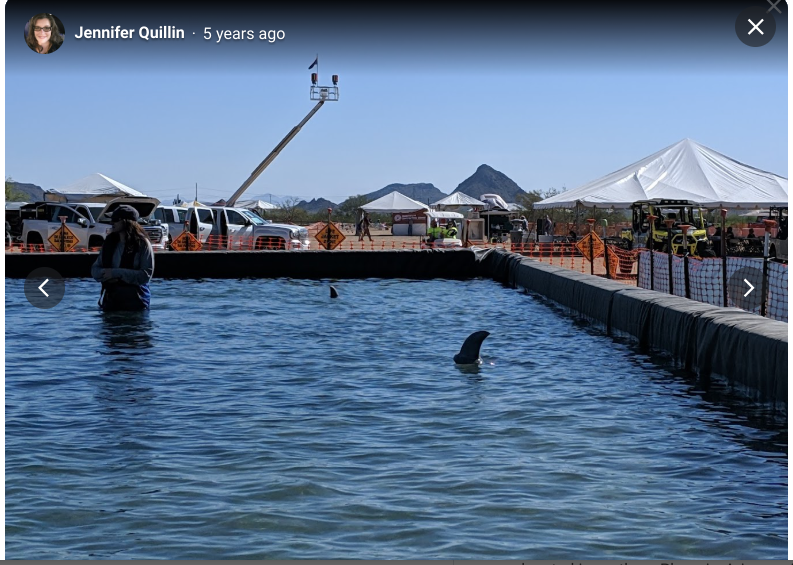 Screenshot-2025-01-20-5.12.34-PM.png Screenshot-2025-01-20-5.12.34-PM.png