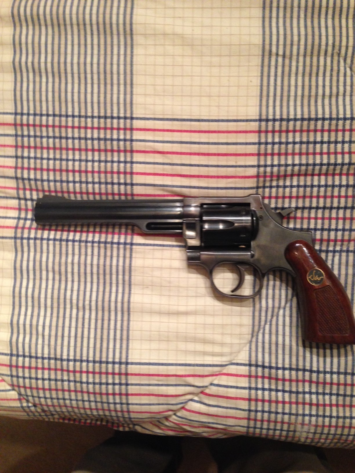 Dan-Wesson-1.JPG