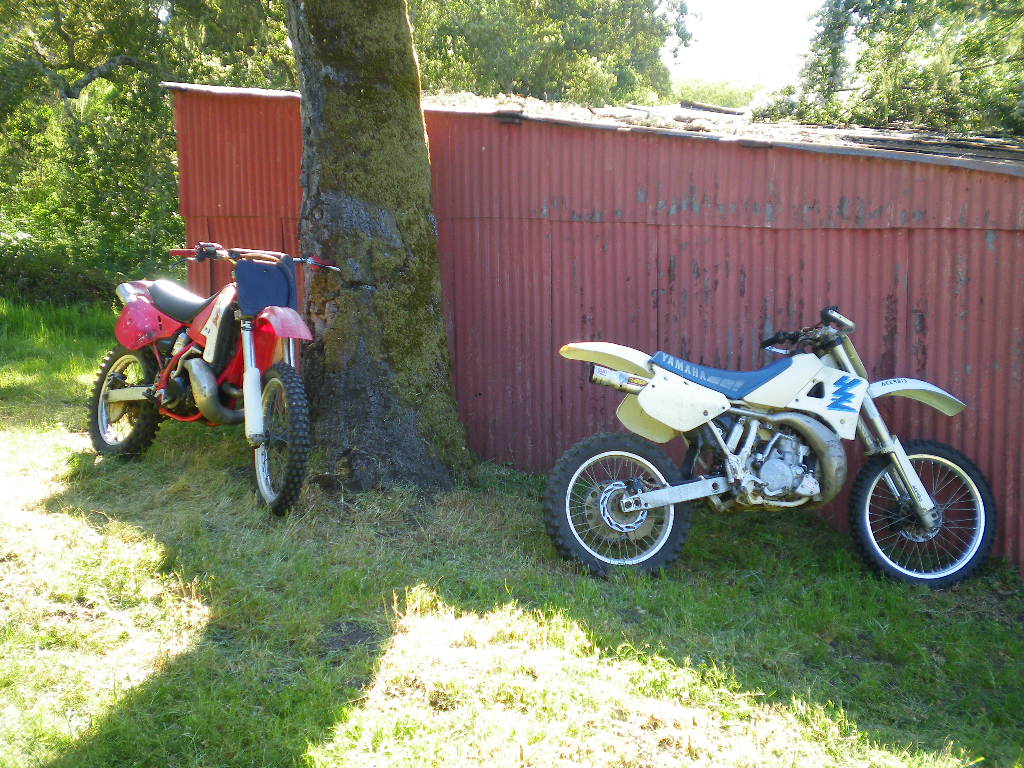 Dirt-Bikes-on-the-Shed.JPG