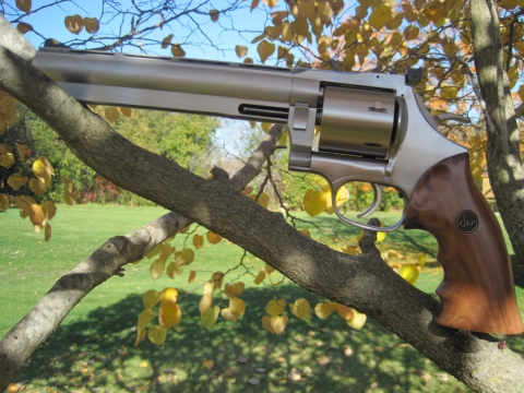 DAN-WESSON-MONSON-744-UNFLUTED-CYL.-IN-TREE.JPG