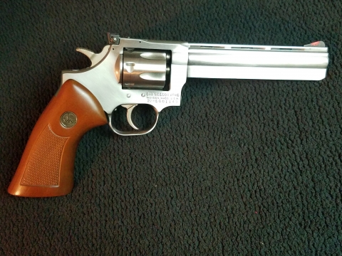 Dan-Wesson-22.jpg