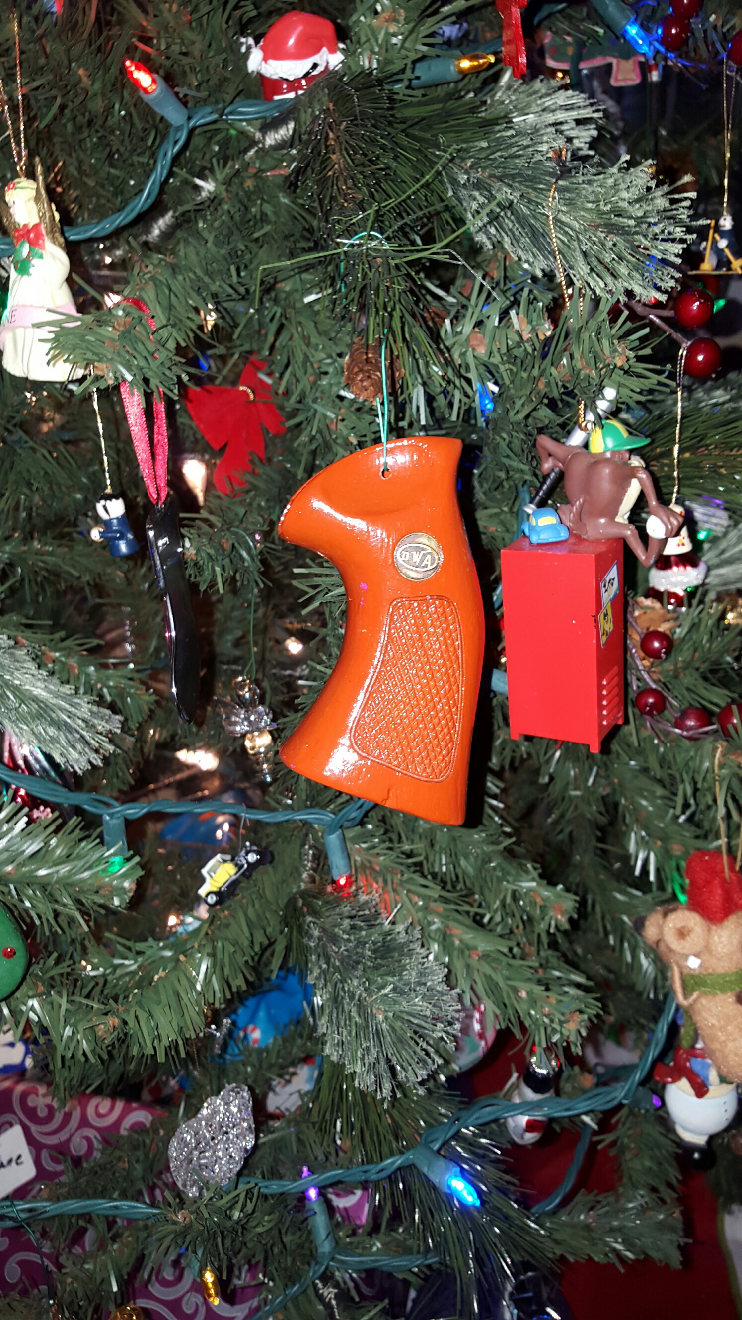 20151219_174928_resized.jpg