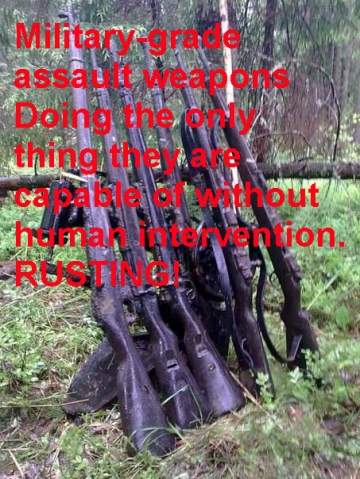 guns-rusting.jpg