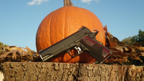 Scout728_VigilCCO_9mm_01.JPG