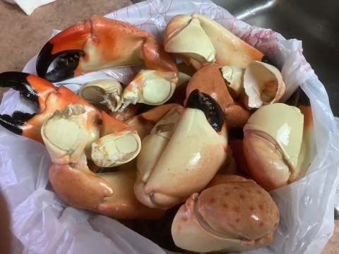 Crab-Claws.jpg