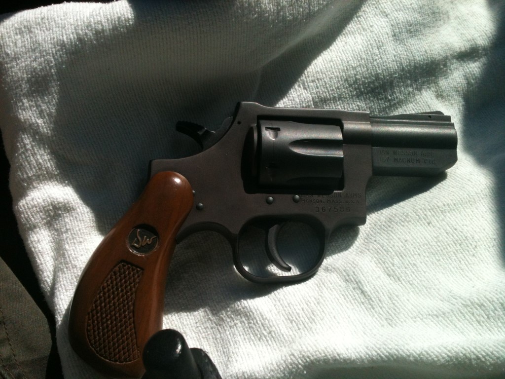 Dan-Wesson-357-snubbie-pic-3.JPG