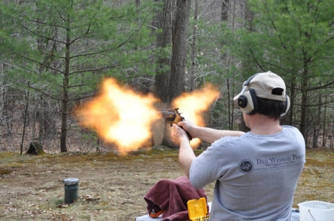 DW-Flame-Show-2014.jpg